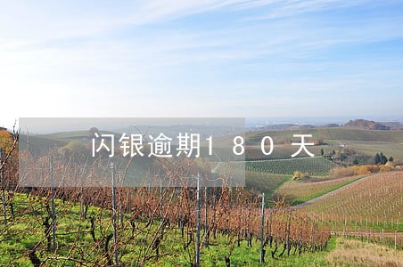 闪银逾期180天 闪银逾期180天