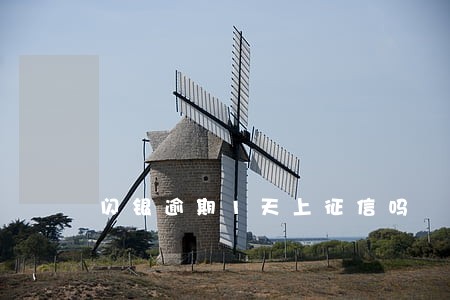 闪银逾期1天上征信吗 闪银逾期1天上征信吗