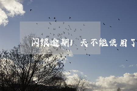 闪银逾期1天不能使用了 闪银逾期1天不能使用了