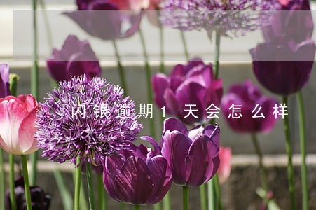 闪银逾期1天会怎么样 闪银逾期1天会怎么样
