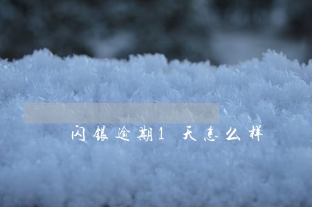 闪银逾期1天怎么样