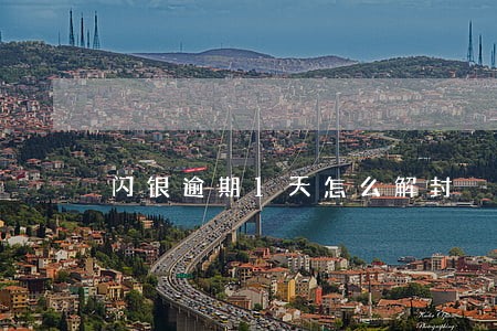 闪银逾期1天怎么解封