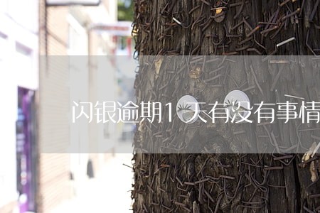 闪银逾期1天有没有事情 闪银逾期1天有没有事情