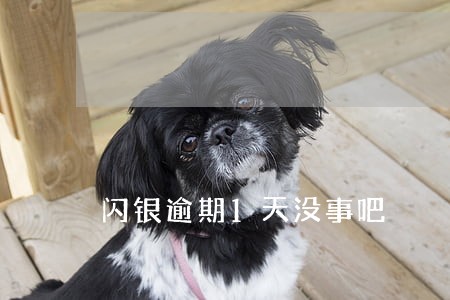 闪银逾期1天没事吧 闪银逾期1天没事吧