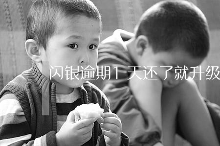 闪银逾期1天还了就升级中