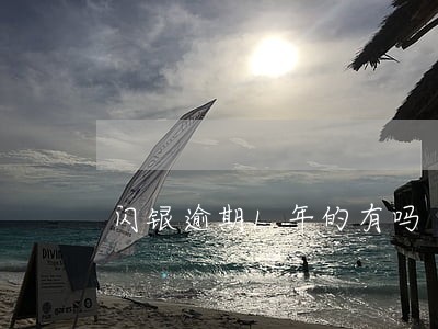 闪银逾期1年的有吗