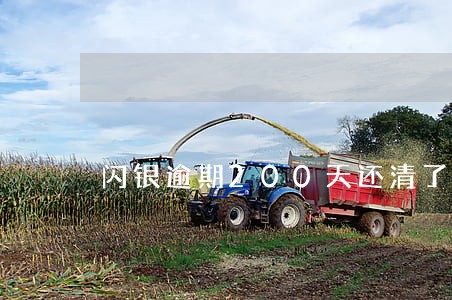 闪银逾期200天还清了还能借 闪银逾期200天还清了还能借
