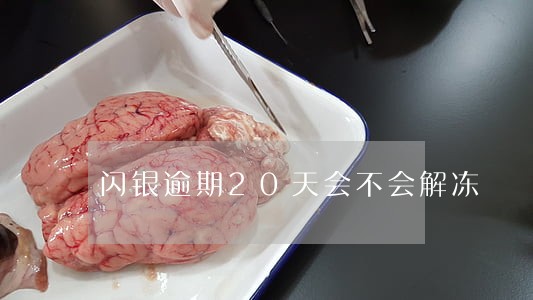 闪银逾期20天会不会解冻 闪银逾期20天会不会解冻