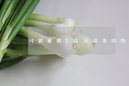 闪银逾期20天会冻结吗 闪银逾期20天会冻结吗