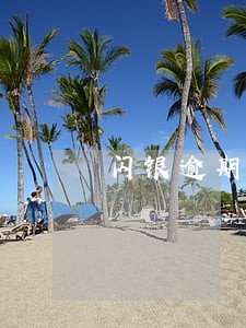 闪银逾期25天算违法吗 闪银逾期25天算违法吗
