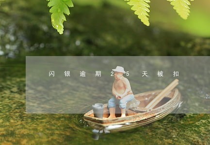 闪银逾期25天被扣