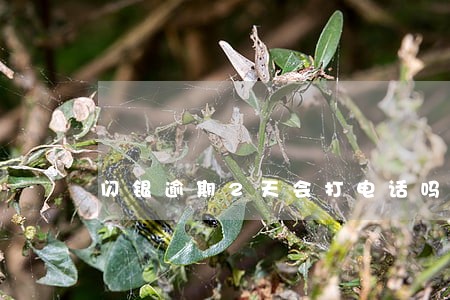 闪银逾期2天会打电话吗 闪银逾期2天会打电话吗