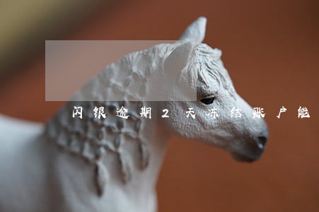 闪银逾期2天冻结账户能解冻吗 闪银逾期2天冻结账户能解冻吗