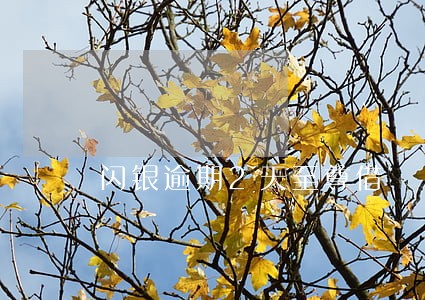 闪银逾期2天至尊借 闪银逾期2天至尊借