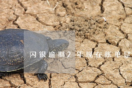 闪银逾期2年现在账单显示没有了 闪银逾期2年现在账单显示没有了