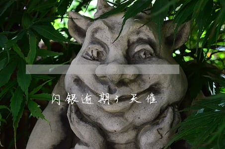 闪银逾期3天催 闪银逾期3天催