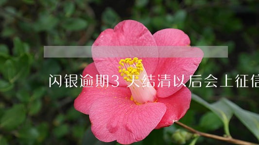 闪银逾期3天结清以后会上征信吗