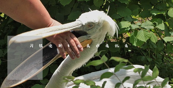 闪银逾期3天轰炸通讯录 闪银逾期3天轰炸通讯录