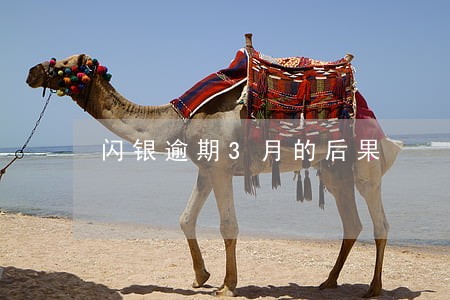 闪银逾期3月的后果