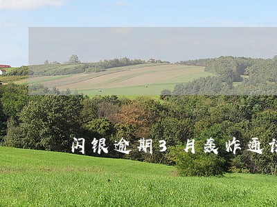 闪银逾期3月轰炸通讯录