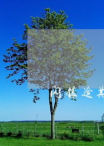 闪银逾期47天 闪银逾期47天