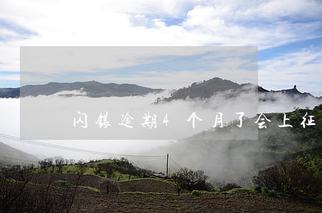 闪银逾期4个月了会上征信么 闪银逾期4个月了会上征信么