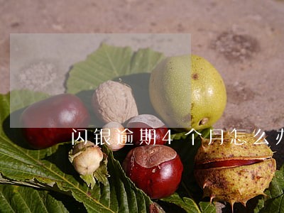 闪银逾期4个月怎么办 闪银逾期4个月怎么办