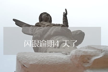 闪银逾期4天了 闪银逾期4天了