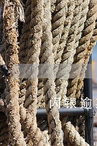 闪银逾期4天就接不了了 闪银逾期4天就接不了了