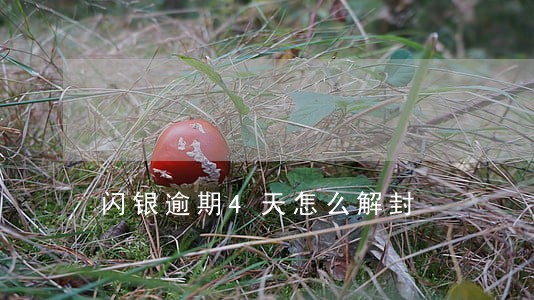 闪银逾期4天怎么解封 闪银逾期4天怎么解封