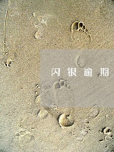 闪银逾期4天至尊宝被拒