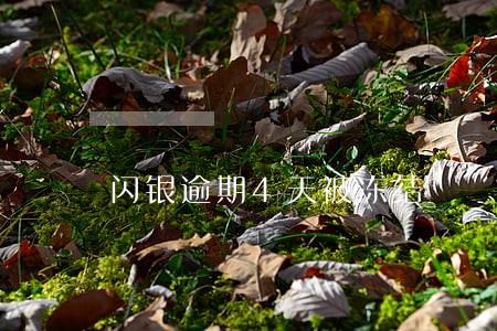 闪银逾期4天被冻结 闪银逾期4天被冻结