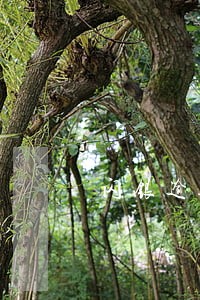 闪银逾期4天解封 闪银逾期4天解封