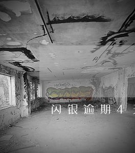 闪银逾期4天还款成功重新申请 闪银逾期4天还款成功重新申请
