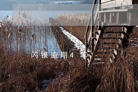 闪银逾期4年 闪银逾期4年
