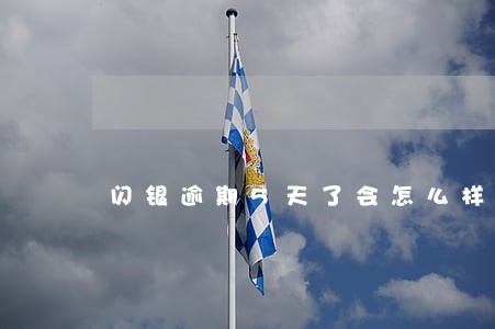闪银逾期5天了会怎么样 闪银逾期5天了会怎么样