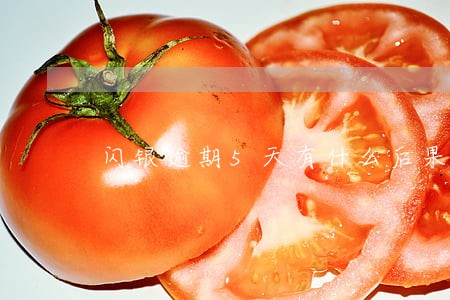 闪银逾期5天有什么后果 闪银逾期5天有什么后果