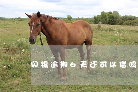 闪银逾期6天还可以借吗 闪银逾期6天还可以借吗