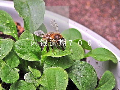 闪银逾期7000 闪银逾期7000