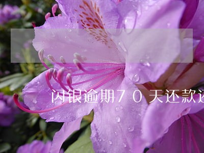 闪银逾期70天还款还可以再借吗 闪银逾期70天还款还可以再借吗