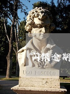 闪银逾期7天还了解封吗 闪银逾期7天还了解封吗