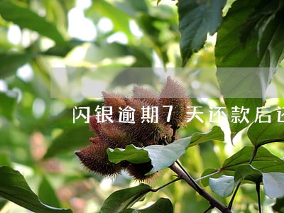 闪银逾期7天还款后还能借吗 闪银逾期7天还款后还能借吗