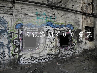 闪银逾期800多天