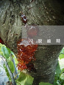 闪银逾期80天 闪银逾期80天