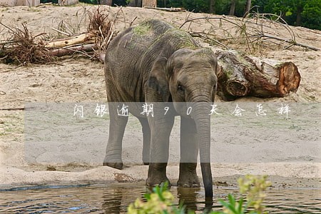 闪银逾期90天会怎样 闪银逾期90天会怎样