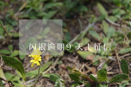 闪银逾期9天上征信 闪银逾期9天上征信