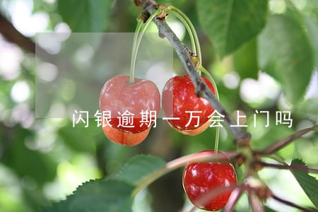 闪银逾期一万会上门吗 闪银逾期一万会上门吗