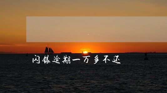 闪银逾期一万多不还 闪银逾期一万多不还