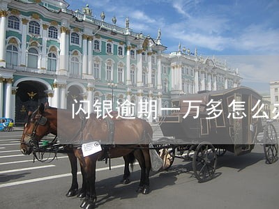 闪银逾期一万多怎么办 闪银逾期一万多怎么办