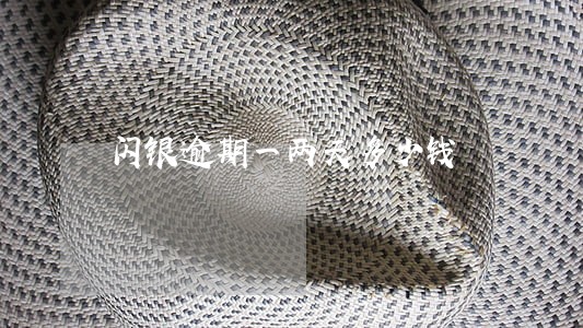 闪银逾期一两天多少钱 闪银逾期一两天多少钱